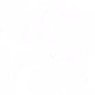 The Official Agency